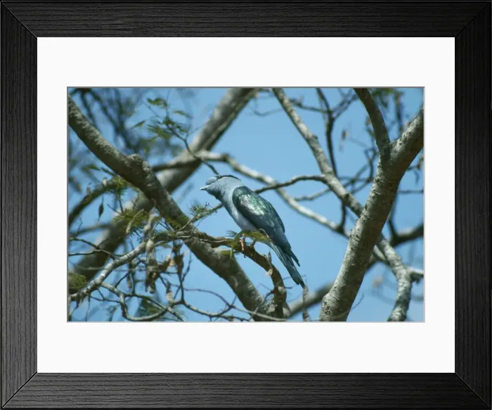 Framed Print : Picture No. 10847872 Framed Print : Picture No. 10847872