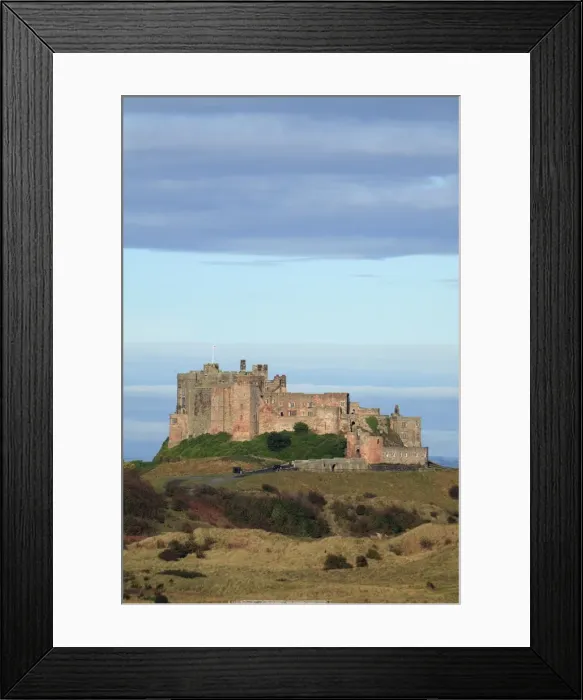 Framed Print : Picture No. 10790745