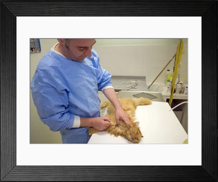 Framed Print : Picture No. 10776603 Framed Print : Picture No. 10776603