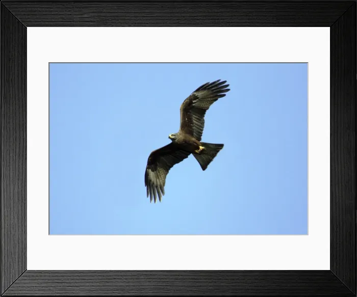 Framed Print : Picture No. 10789102 Framed Print : Picture No. 10789102