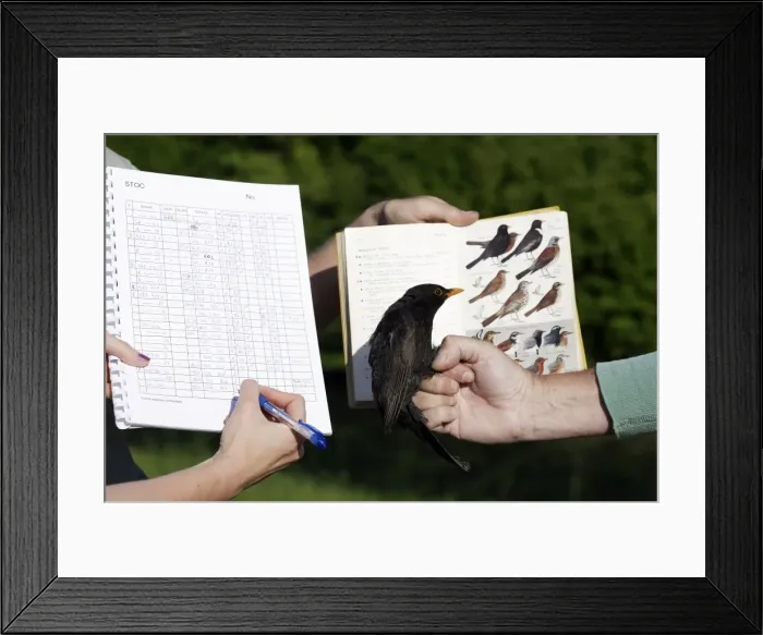 Framed Print : Picture No. 10777713 Framed Print : Picture No. 10777713