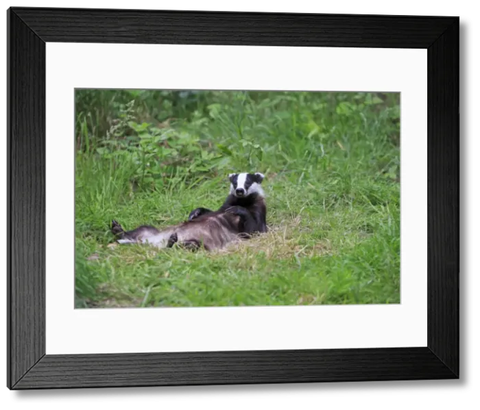Framed Print : Picture No. 10783463 Framed Print : Picture No. 10783463