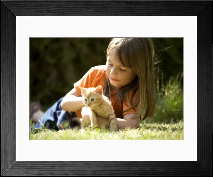 Framed Print : Picture No. 10769673