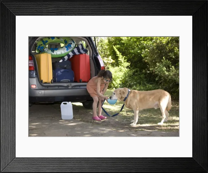 Framed Print : Picture No. 10775382 Framed Print : Picture No. 10775382