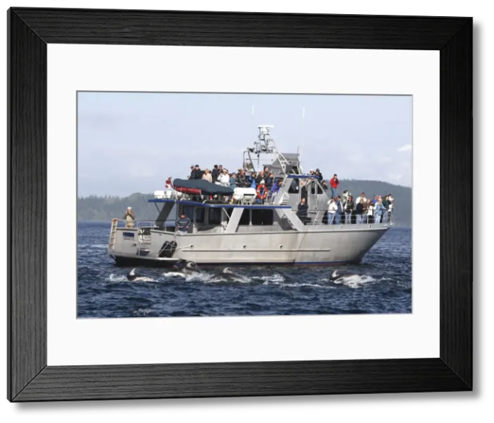 Framed Print : Picture No. 10783772 Framed Print : Picture No. 10783772