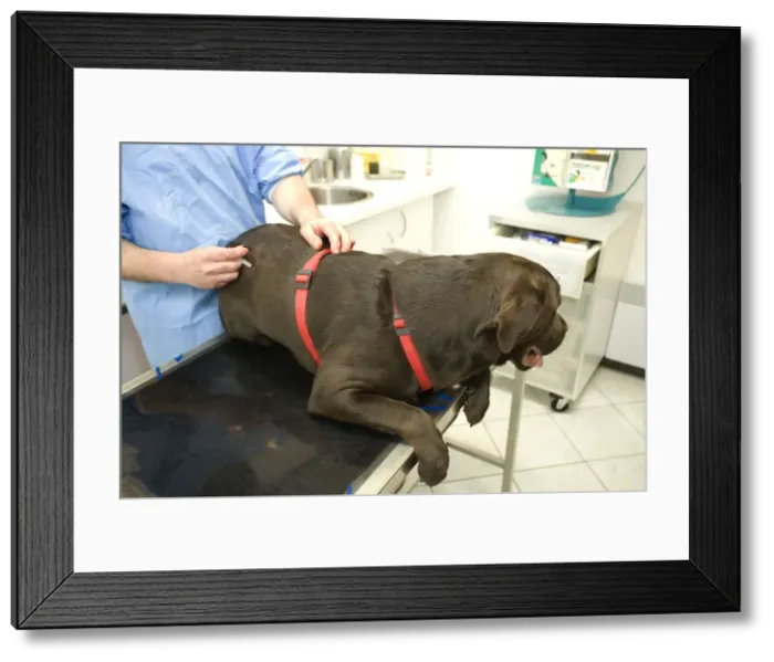 Framed Print : Picture No. 10776609 Framed Print : Picture No. 10776609