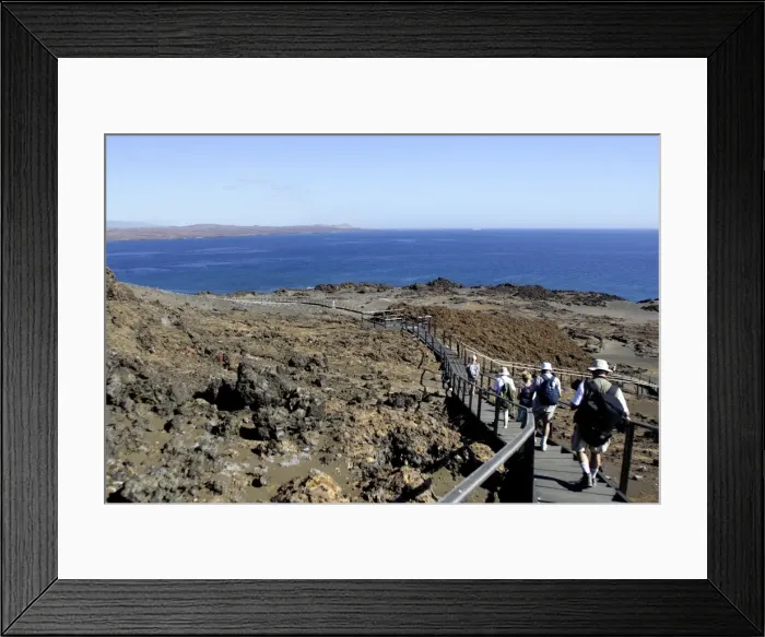 Framed Print : Picture No. 10777845 Framed Print : Picture No. 10777845