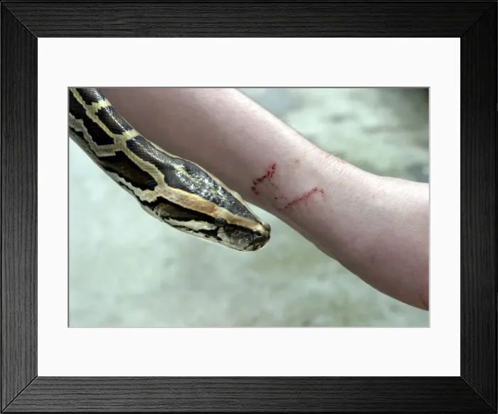 Framed Print : Picture No. 10777784
