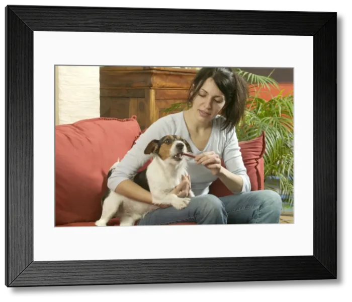Framed Print : Picture No. 10776961
