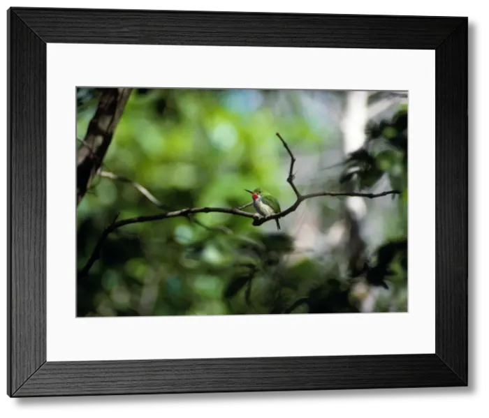 Framed Print : Picture No. 10847869 Framed Print : Picture No. 10847869