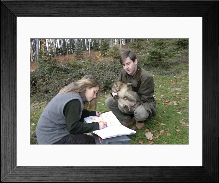 Framed Print : Picture No. 10777666 Framed Print : Picture No. 10777666