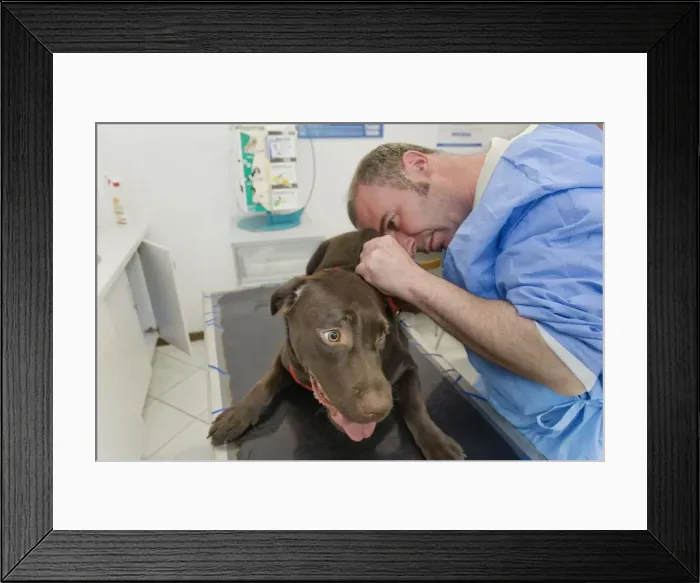 Framed Print : Picture No. 10776607 Framed Print : Picture No. 10776607