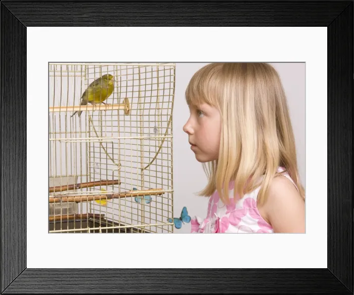 Framed Print : Picture No. 10777370 Framed Print : Picture No. 10777370