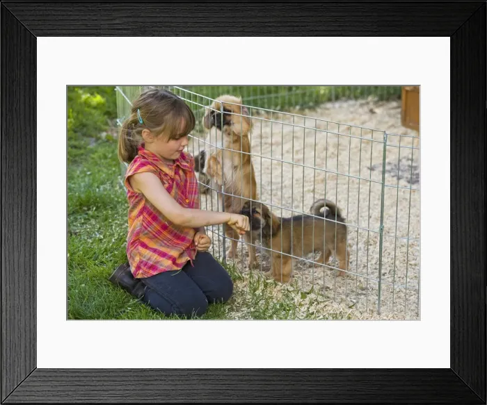 Framed Print : Picture No. 10772705 Framed Print : Picture No. 10772705