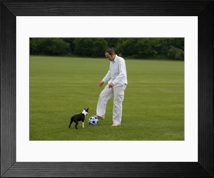 Framed Print : Picture No. 10772446 Framed Print : Picture No. 10772446