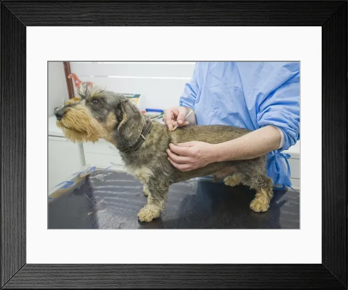 Framed Print : Picture No. 10776583 Framed Print : Picture No. 10776583