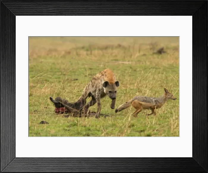 Framed Print : Picture No. 10775704 Framed Print : Picture No. 10775704
