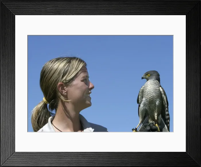 Framed Print : Picture No. 10777681 Framed Print : Picture No. 10777681