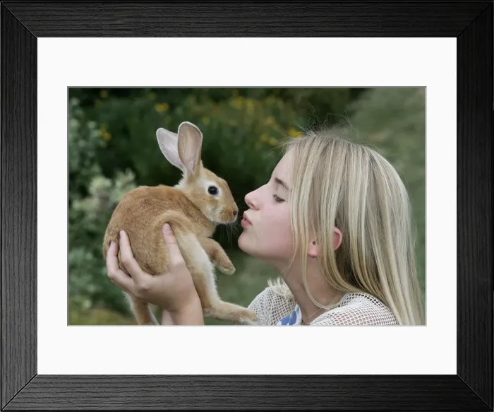Framed Print : Picture No. 10787317