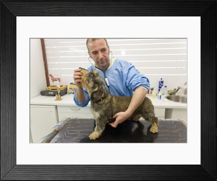 Framed Print : Picture No. 10776582 Framed Print : Picture No. 10776582