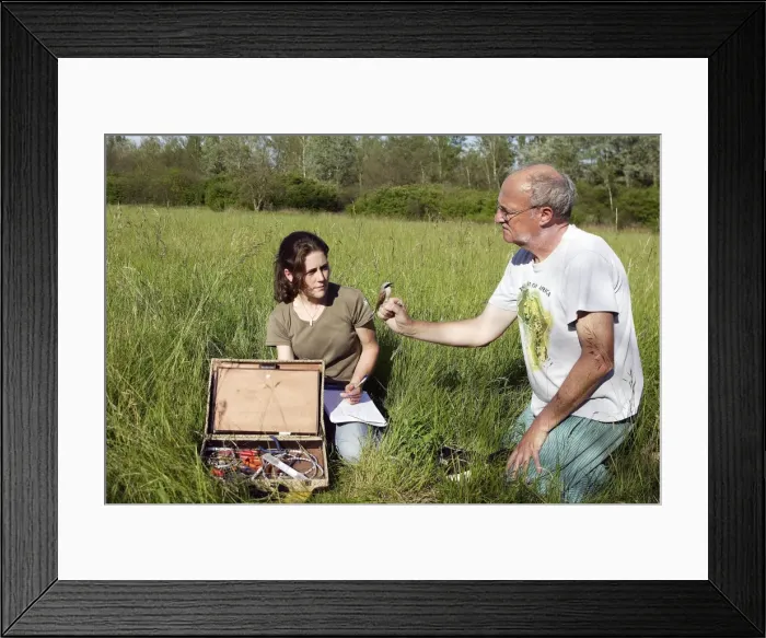 Framed Print : Picture No. 10777717 Framed Print : Picture No. 10777717