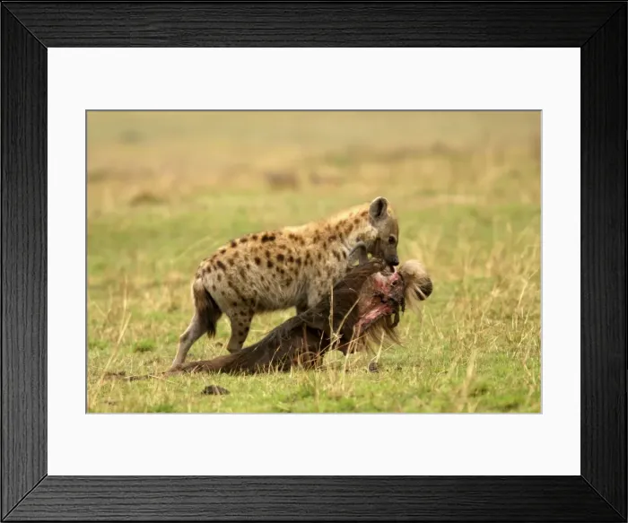 Framed Print : Picture No. 10775682 Framed Print : Picture No. 10775682