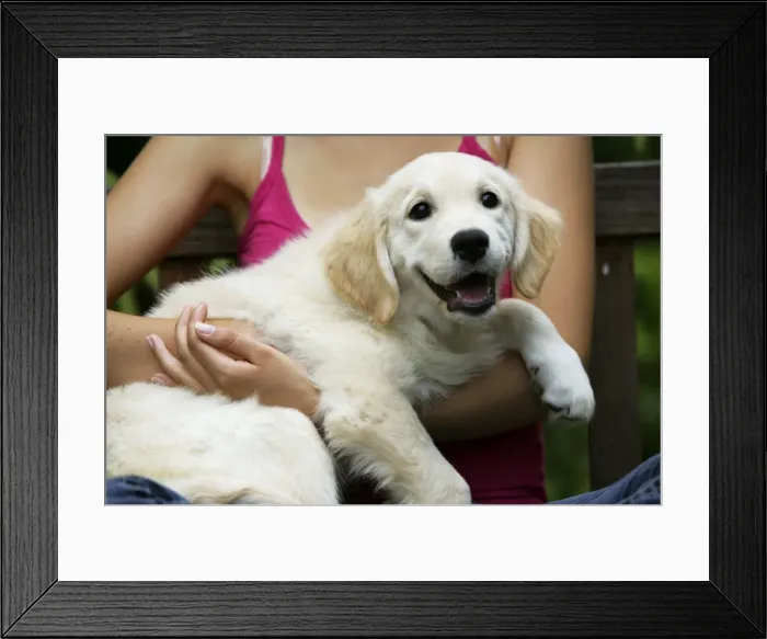 Framed Print : Picture No. 10772637 Framed Print : Picture No. 10772637