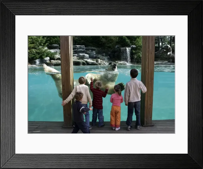 Framed Print : Picture No. 10787292 Framed Print : Picture No. 10787292