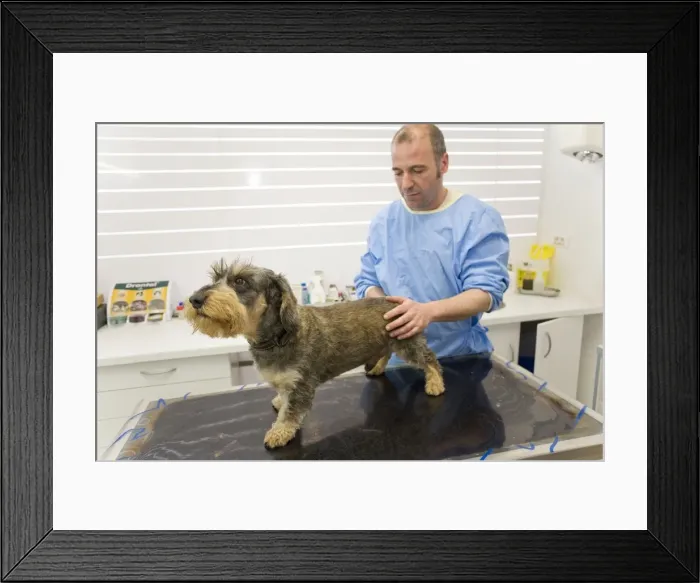 Framed Print : Picture No. 10776581 Framed Print : Picture No. 10776581