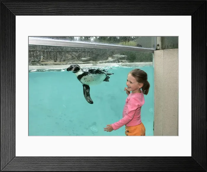 Framed Print : Picture No. 10787296 Framed Print : Picture No. 10787296