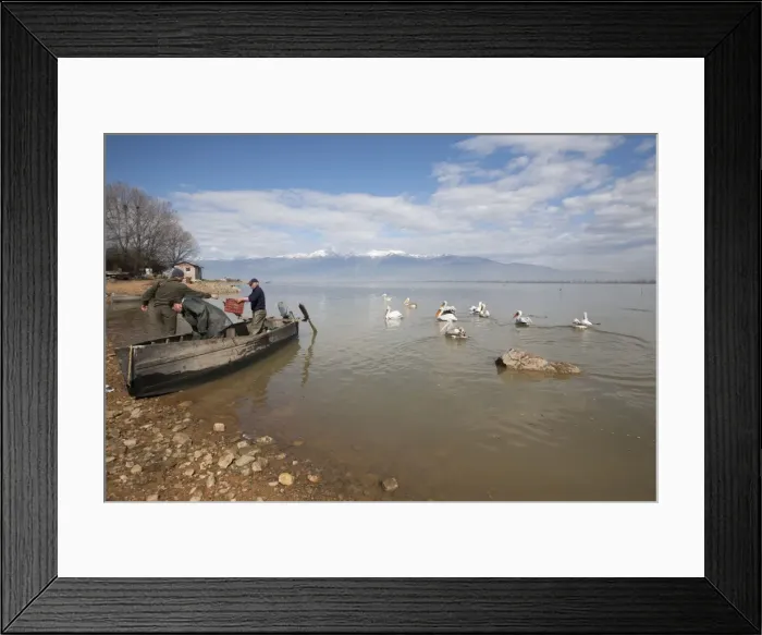 Framed Print : Picture No. 10804232 Framed Print : Picture No. 10804232
