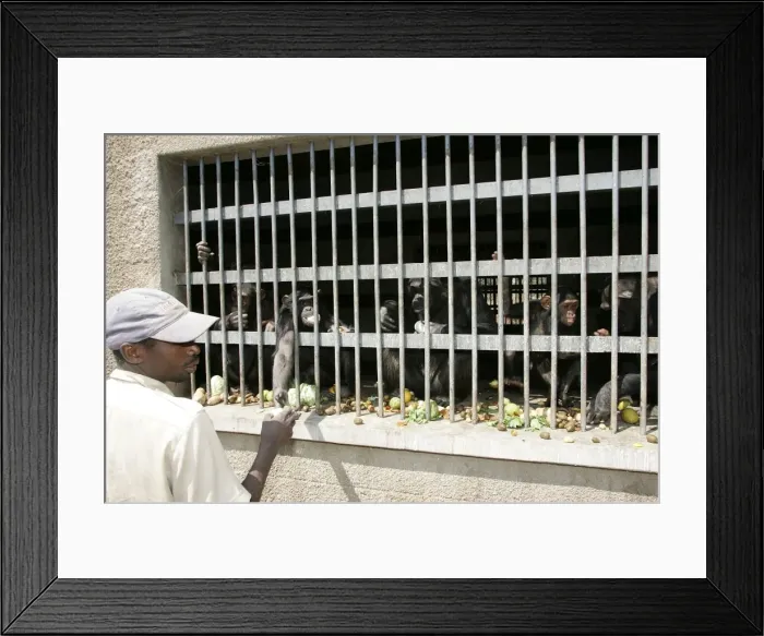 Framed Print : Picture No. 10787326 Framed Print : Picture No. 10787326
