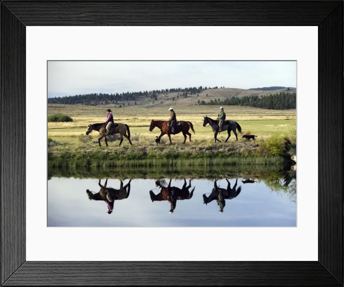 Framed Print : Picture No. 10778376