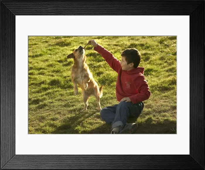 Framed Print : Picture No. 10769726 Framed Print : Picture No. 10769726
