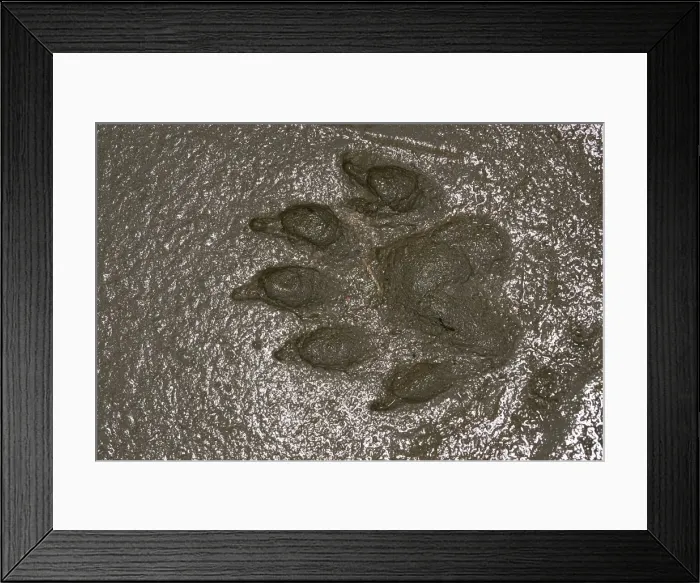 Framed Print : Picture No. 10787261 Framed Print : Picture No. 10787261