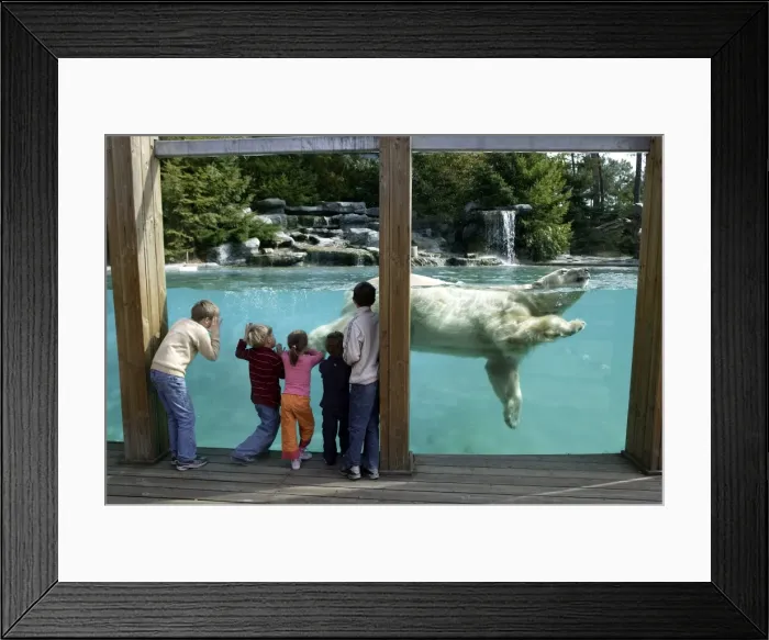 Framed Print : Picture No. 10787295 Framed Print : Picture No. 10787295