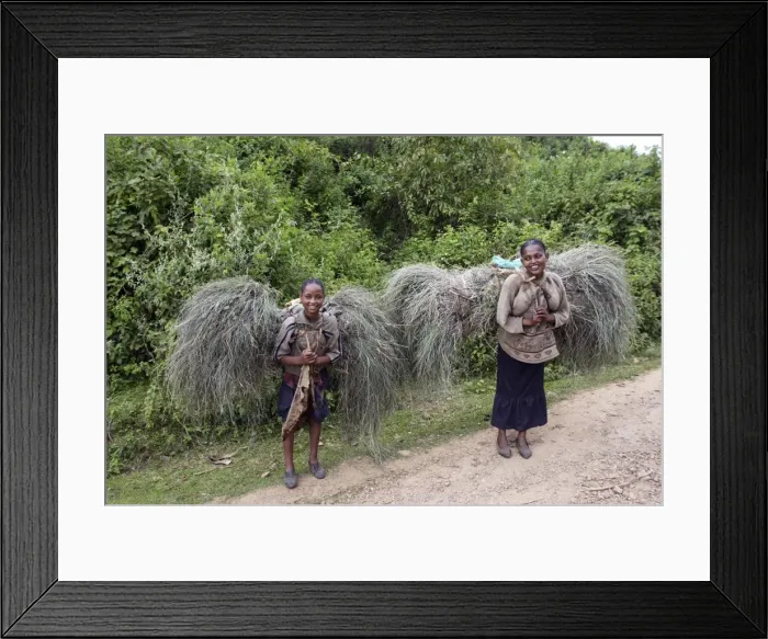 Framed Print : Picture No. 10779037 Framed Print : Picture No. 10779037