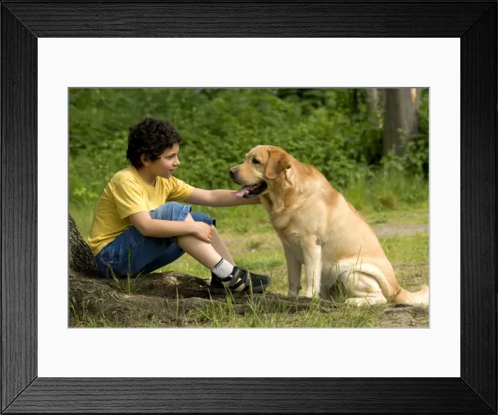Framed Print : Picture No. 10769824 Framed Print : Picture No. 10769824