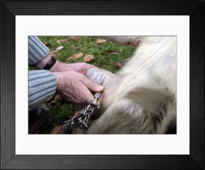 Framed Print : Picture No. 10777665 Framed Print : Picture No. 10777665