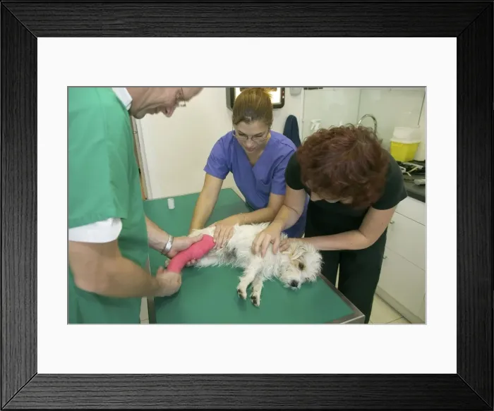 Framed Print : Picture No. 10769969 Framed Print : Picture No. 10769969