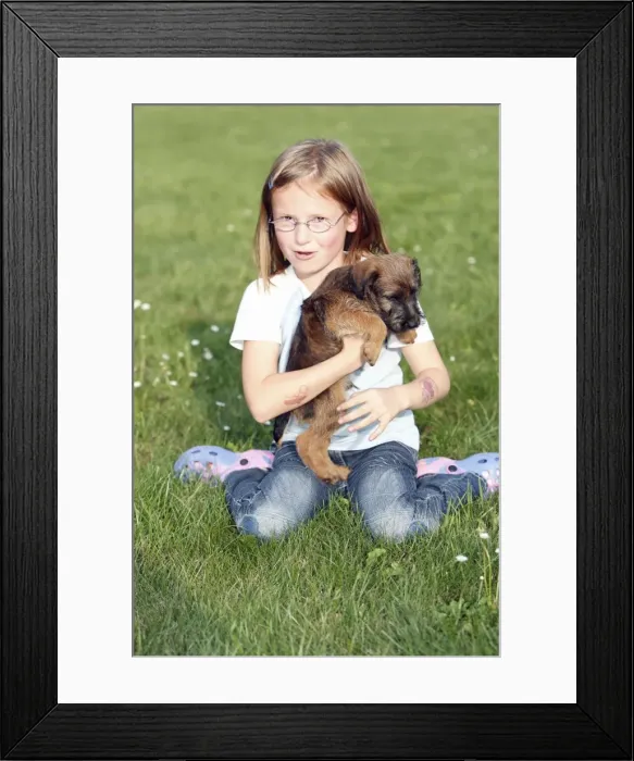 Framed Print : Picture No. 10791927 Framed Print : Picture No. 10791927