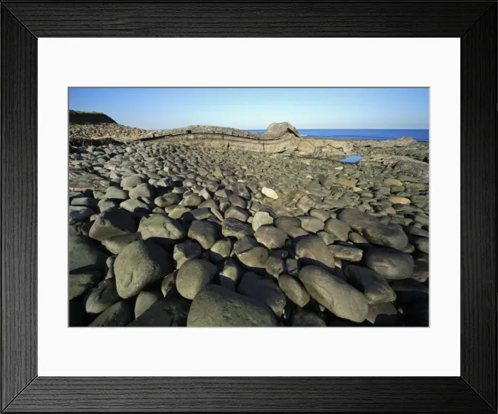 Framed Print : Picture No. 10790760 Framed Print : Picture No. 10790760