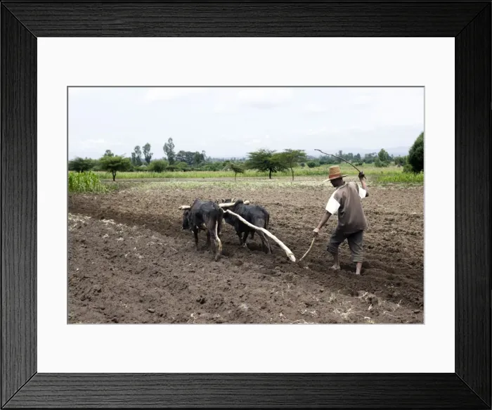 Framed Print : Picture No. 10778973 Framed Print : Picture No. 10778973