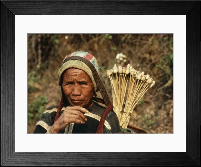 Framed Print : Picture No. 10847856 Framed Print : Picture No. 10847856