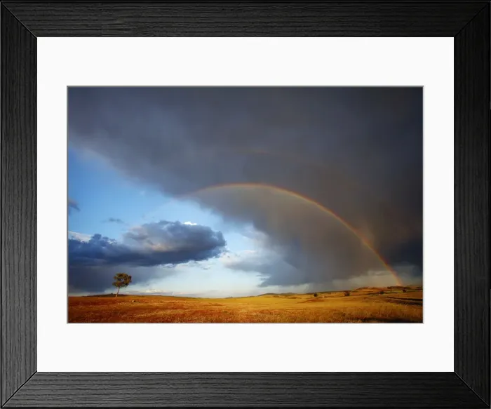 Framed Print : Picture No. 10791611 Framed Print : Picture No. 10791611