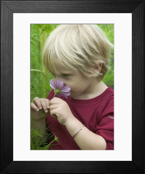 Framed Print : Picture No. 10772562 Framed Print : Picture No. 10772562
