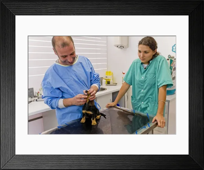 Framed Print : Picture No. 10772548 Framed Print : Picture No. 10772548