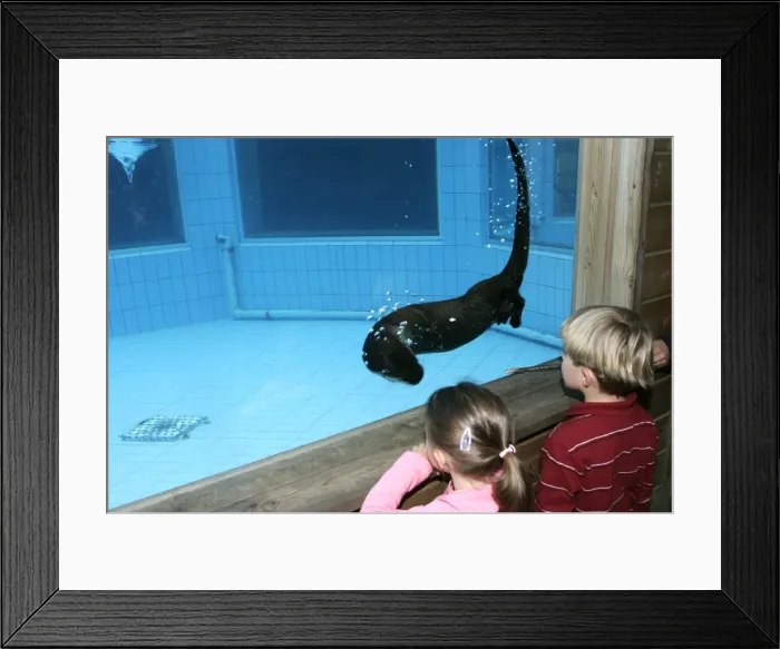 Framed Print : Picture No. 10787297 Framed Print : Picture No. 10787297