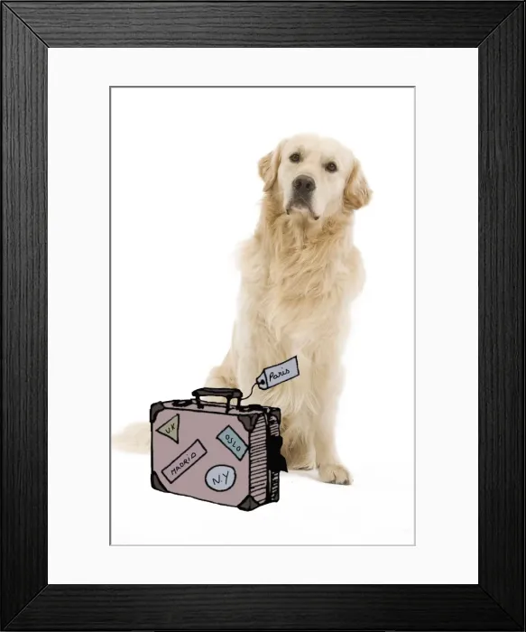 Framed Print : Picture No. 10774600 Framed Print : Picture No. 10774600