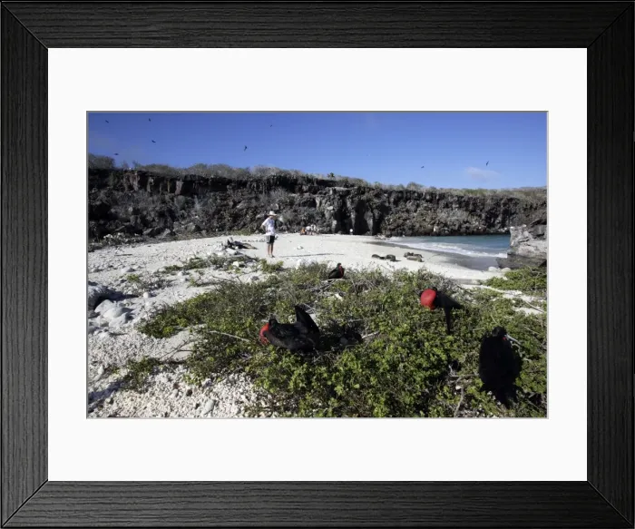 Framed Print : Picture No. 10777813 Framed Print : Picture No. 10777813